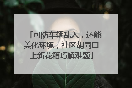 可防车辆乱入，还能美化环境，社区胡同口上新花箱巧解难题