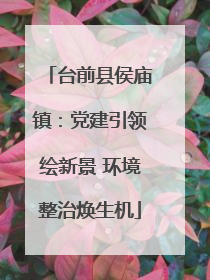 台前县侯庙镇：党建引领绘新景 环境整治焕生机