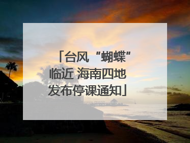 台风“蝴蝶”临近 海南四地发布停课通知