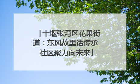 十堰张湾区花果街道：东风故里话传承 社区聚力向未来