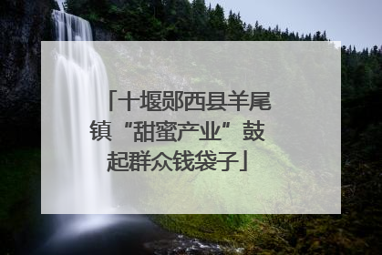 十堰郧西县羊尾镇“甜蜜产业”鼓起群众钱袋子