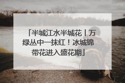 半城江水半城花丨万绿丛中一抹红！冰城锦带花进入盛花期