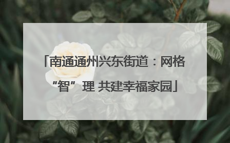 南通通州兴东街道：网格“智”理 共建幸福家园