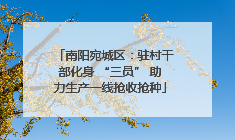 南阳宛城区：驻村干部化身 “三员” 助力生产一线抢收抢种
