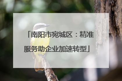 南阳市宛城区：精准服务助企业加速转型