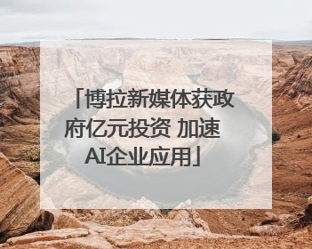 博拉新媒体获政府亿元投资 加速AI企业应用