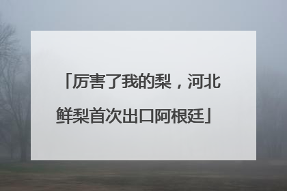 厉害了我的梨，河北鲜梨首次出口阿根廷