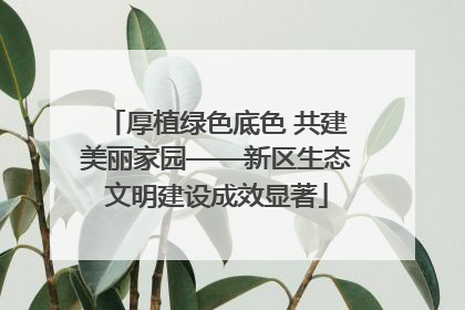 厚植绿色底色 共建美丽家园——新区生态文明建设成效显著