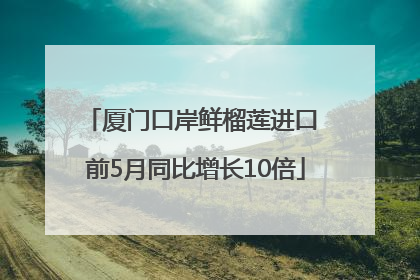 厦门口岸鲜榴莲进口 前5月同比增长10倍