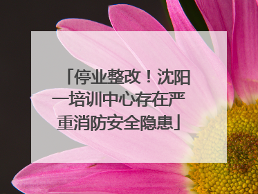 停业整改！沈阳一培训中心存在严重消防安全隐患