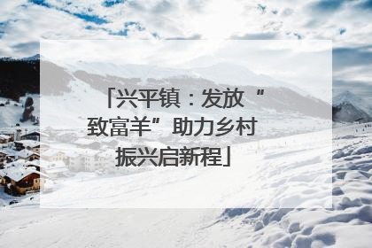 兴平镇：发放“致富羊”助力乡村振兴启新程