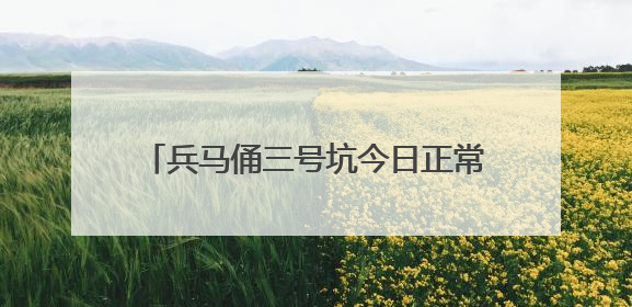 兵马俑三号坑今日正常开放，受损秦俑已移走 观众参观不会受到影响