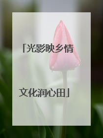 光影映乡情 文化润心田