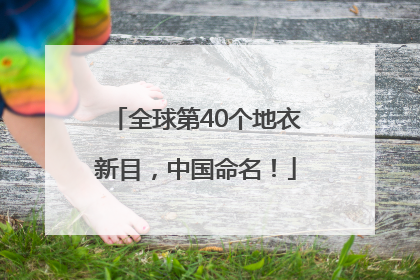 全球第40个地衣新目，中国命名！