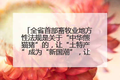 全省首部畜牧业地方性法规是关于“中华熊猫猪”的，让“土特产”成为“新国潮”，让“农产品”升格为“城市IP”