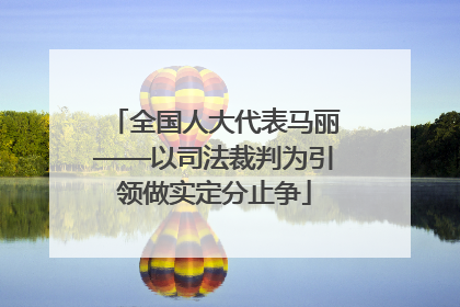全国人大代表马丽——以司法裁判为引领做实定分止争