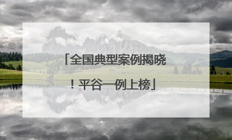 全国典型案例揭晓！平谷一例上榜