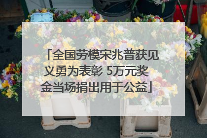 全国劳模宋兆普获见义勇为表彰 5万元奖金当场捐出用于公益
