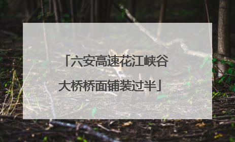 六安高速花江峡谷大桥桥面铺装过半