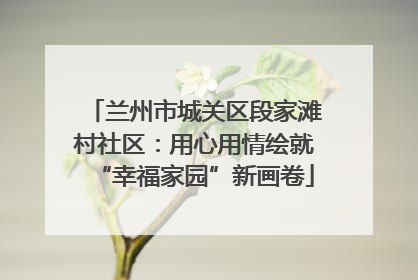 兰州市城关区段家滩村社区：用心用情绘就“幸福家园”新画卷
