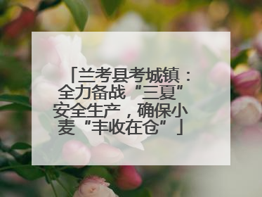 兰考县考城镇：全力备战“三夏”安全生产，确保小麦“丰收在仓”