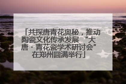 共探唐青花奥秘，推动陶瓷文化传承发展 “大唐・青花瓷学术研讨会”在郑州圆满举行