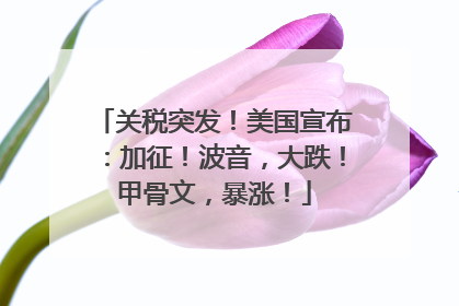 关税突发！美国宣布：加征！波音，大跌！甲骨文，暴涨！