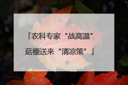 农科专家“战高温” 菇棚送来“清凉策”