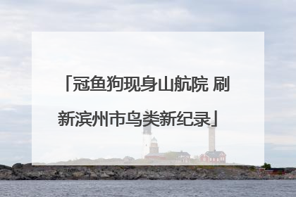 冠鱼狗现身山航院 刷新滨州市鸟类新纪录