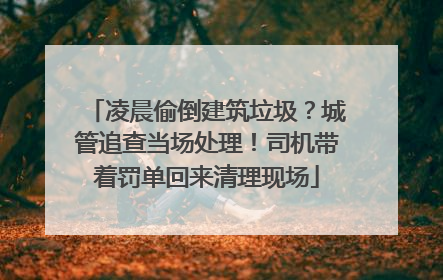 凌晨偷倒建筑垃圾？城管追查当场处理！司机带着罚单回来清理现场