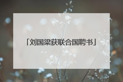 刘国梁获联合国聘书