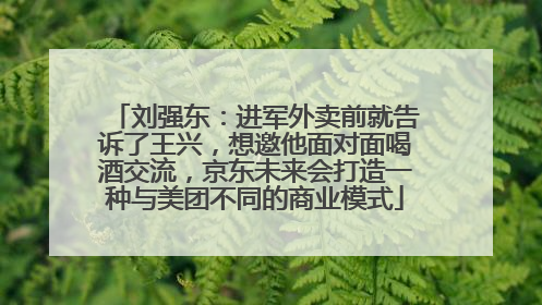 刘强东：进军外卖前就告诉了王兴，想邀他面对面喝酒交流，京东未来会打造一种与美团不同的商业模式