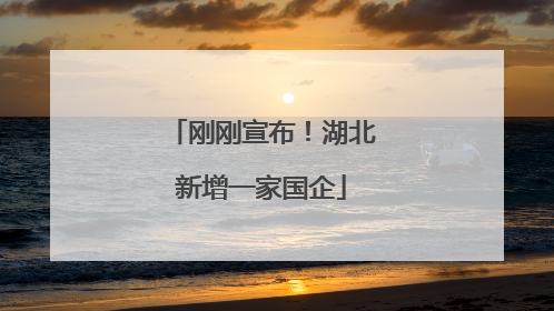 刚刚宣布！湖北新增一家国企