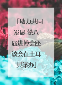 助力共同发展 第八届进博会座谈会在土耳其举办
