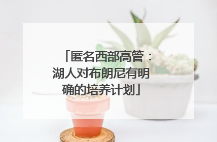 匿名西部高管：湖人对布朗尼有明确的培养计划