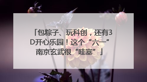 包粽子、玩科创，还有3D开心乐园！这个“六一”南京玄武很“哇塞”