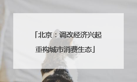 北京：调改经济兴起 重构城市消费生态
