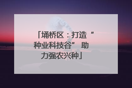 埇桥区：打造“种业科技谷” 助力强农兴种