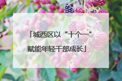 城西区以“十个一”赋能年轻干部成长