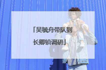 吴毓舟带队到长卿镇调研