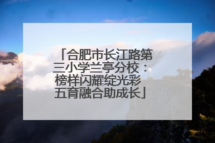 合肥市长江路第三小学兰亭分校：榜样闪耀绽光彩 五育融合助成长