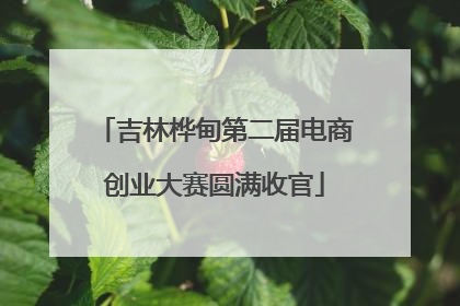 吉林桦甸第二届电商创业大赛圆满收官