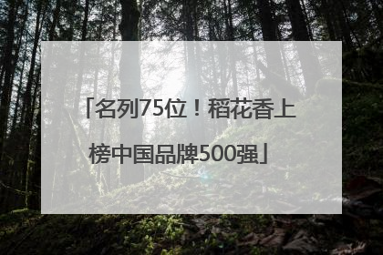 名列75位！稻花香上榜中国品牌500强