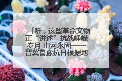 听，这些革命文物正“讲述”抗战峥嵘岁月 山河永固——晋冀鲁豫抗日根据地革命文物展开展