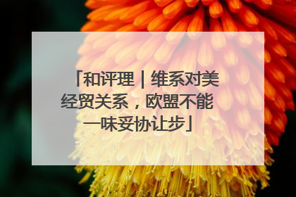和评理｜维系对美经贸关系，欧盟不能一味妥协让步