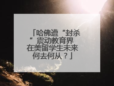 哈佛遭“封杀”震动教育界 在美留学生未来何去何从？