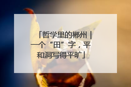 哲学里的郴州｜一个“田”字，平和洞写得平旷