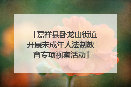 嘉祥县卧龙山街道开展未成年人法制教育专项视察活动