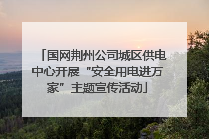 国网荆州公司城区供电中心开展“安全用电进万家”主题宣传活动