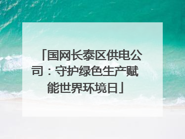 国网长泰区供电公司：守护绿色生产赋能世界环境日